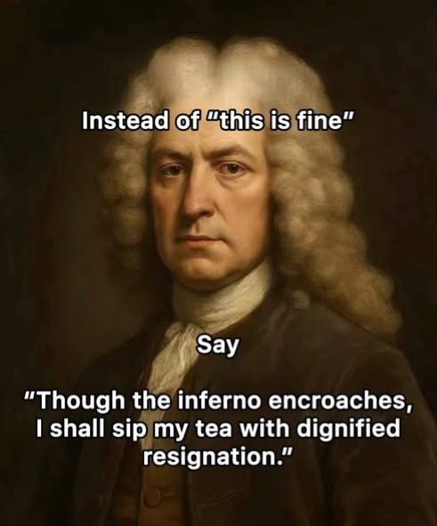 This is fine  language.jpg